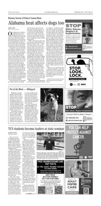 Page A03
