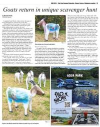 Page C11