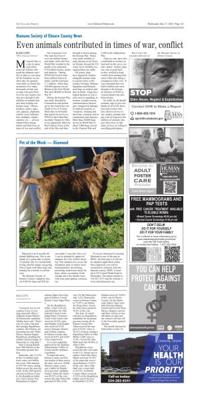 Page A03