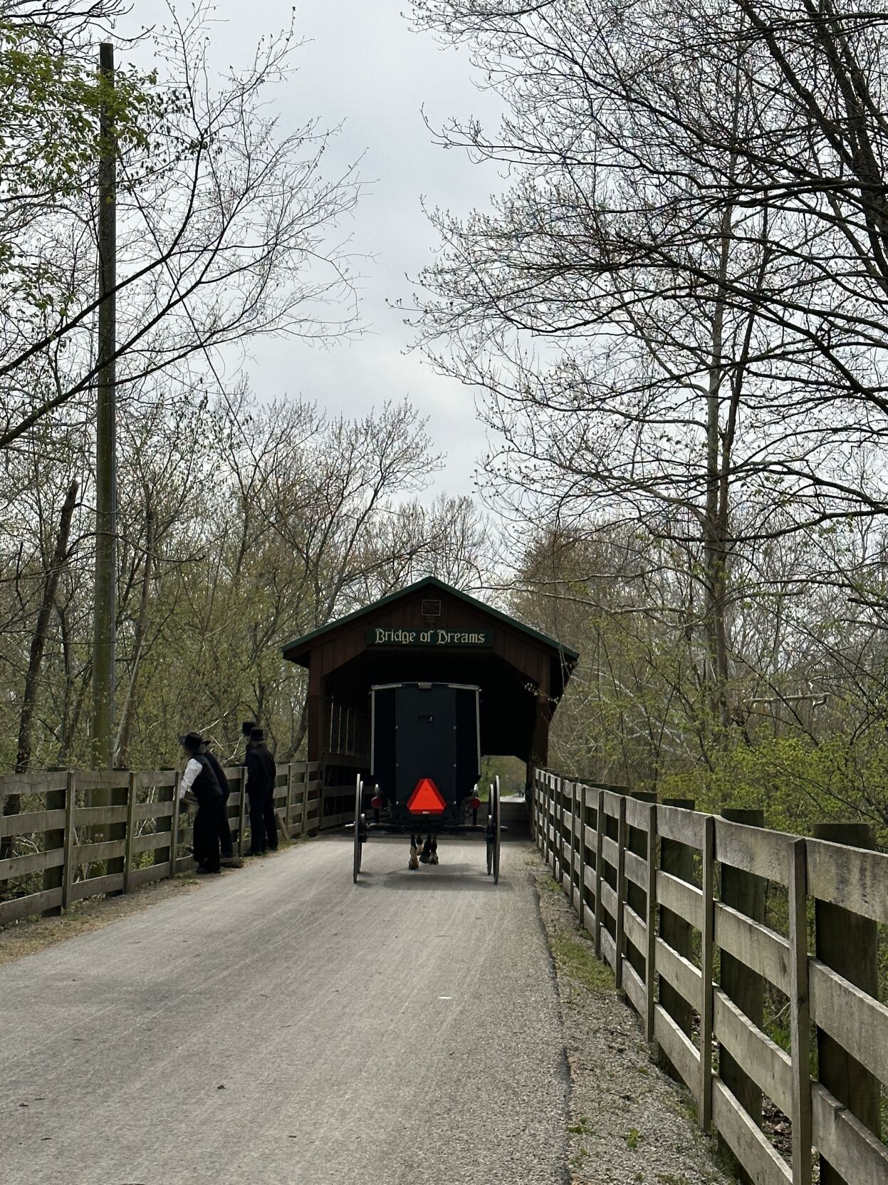 Why Do the Amish use Horse and Buggies for Transportation? Cleveland