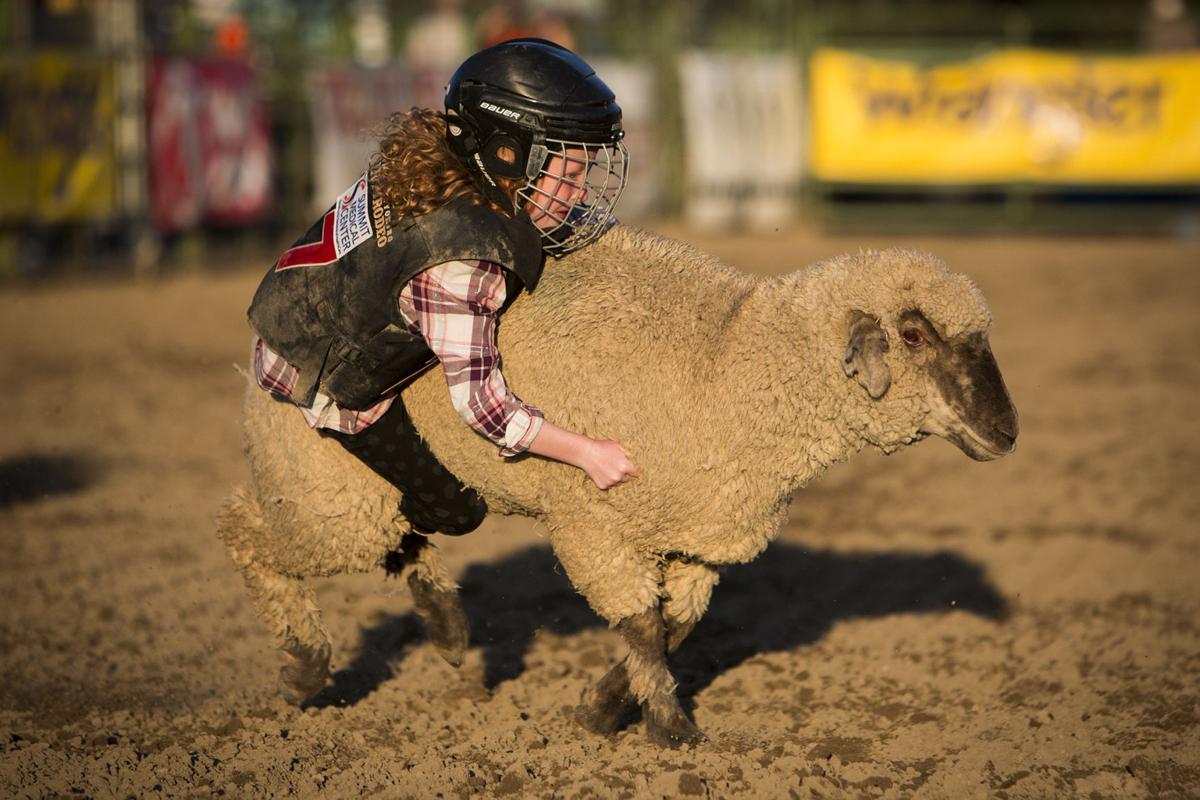 Rodeo Finals