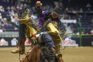 Bulls, Broncs and Breakaway