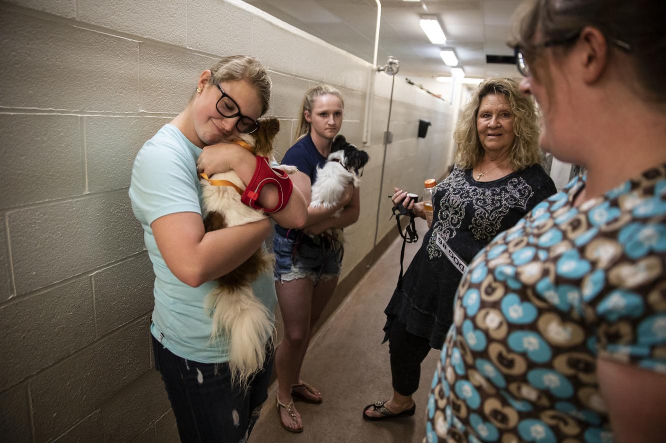 Casper animal lovers show up to adopt confiscated pets from Metro