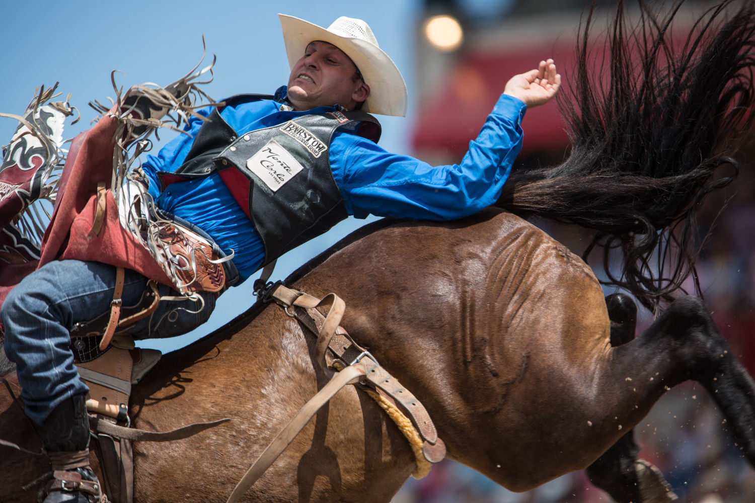 Gallery: Cheyenne Frontier Days Rodeo Finals | Rodeo | Trib.com