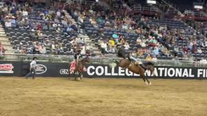 Missouri Valley College's Kooper Heimburg wins the first round of bareback riding with an 86.75-point ride on Lakota Park at Sunday's College National Finals Rodeo.