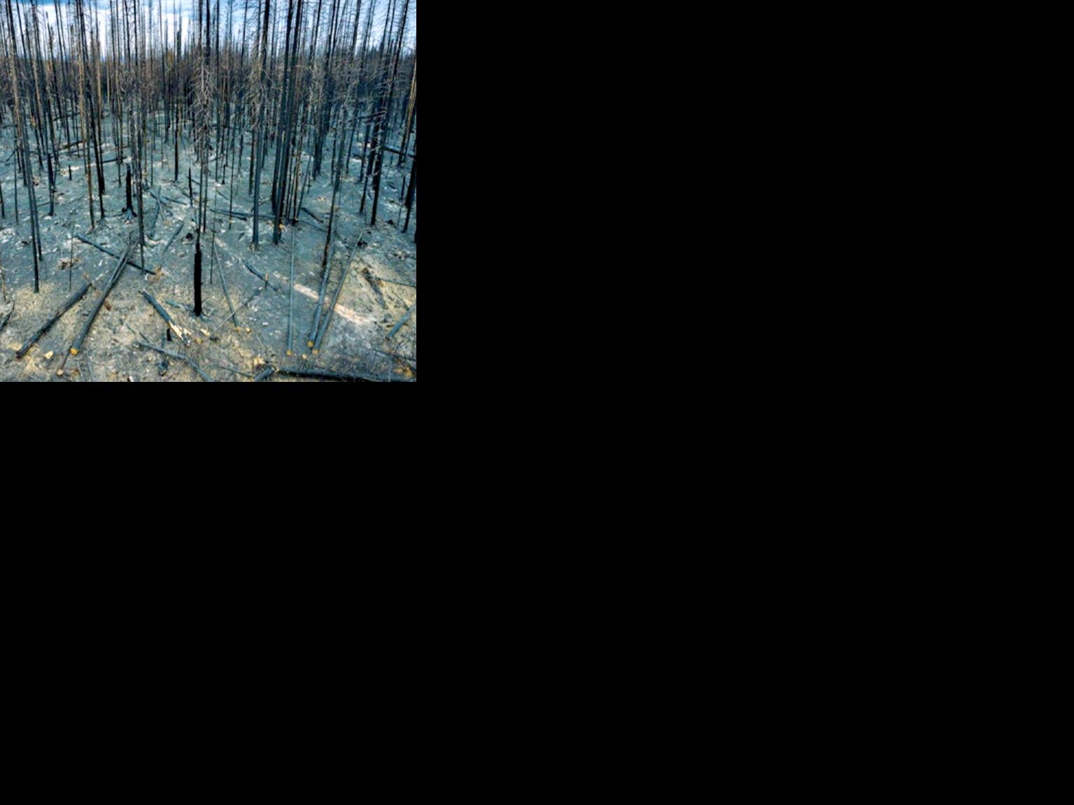 Asset-image