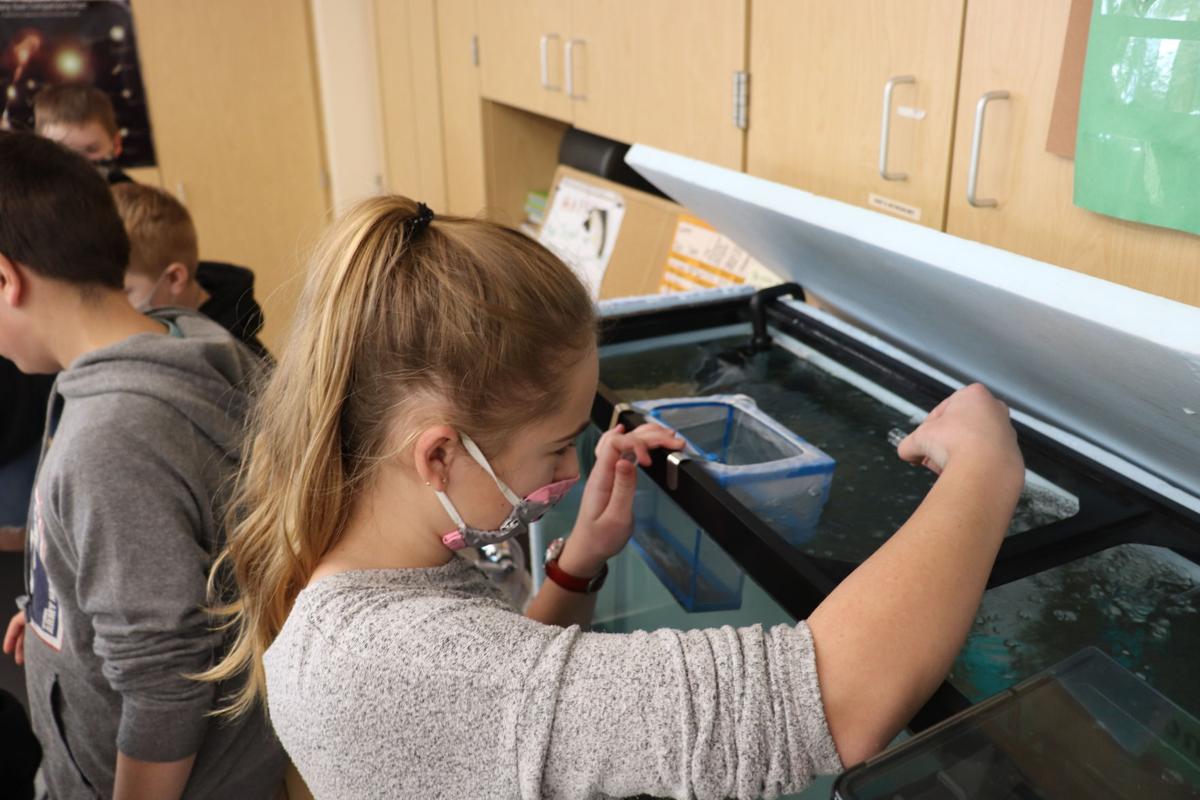 ‘Trout in the Classroom’ comes to Torrington Middle School