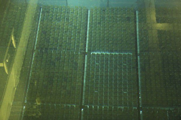 Nuclear Fuel Rods