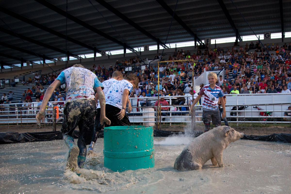 Photos Pig 'N Mud Wrestling Championship Local News