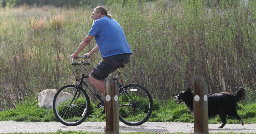 Dog days of spring - Vimarsana News
