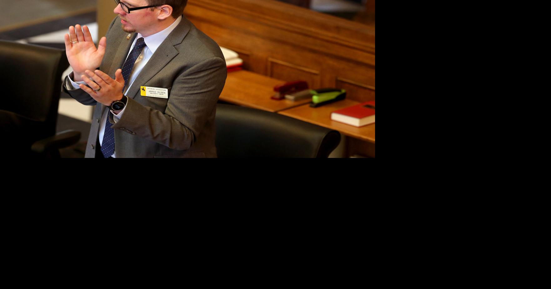 Cheyenne Rep. runs for state senate seat
