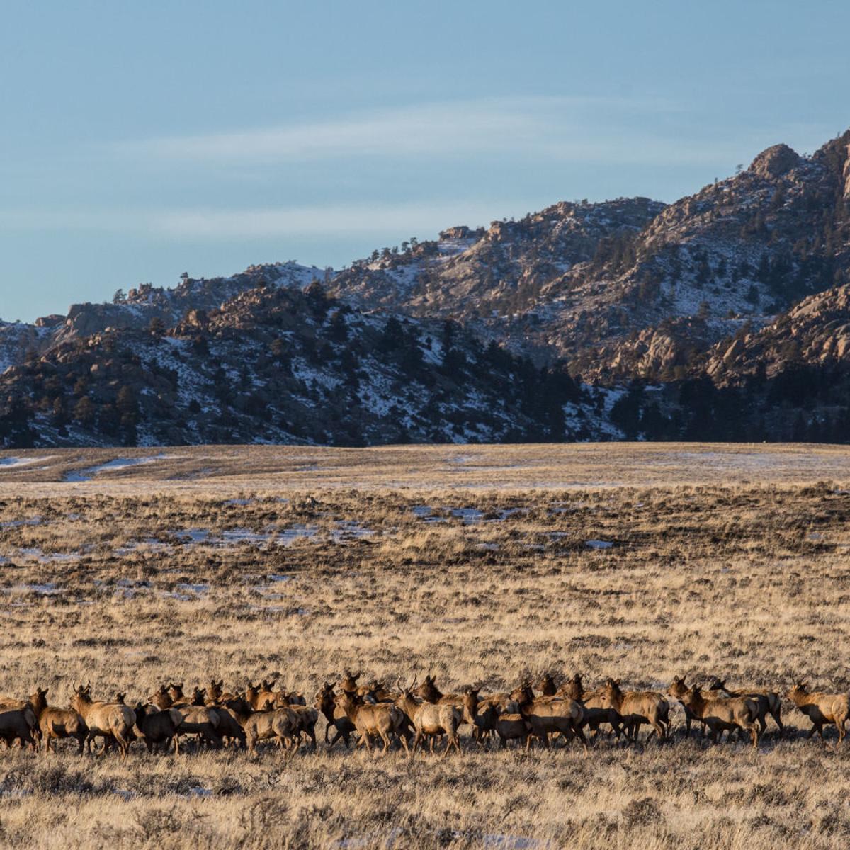 The State Of Wyoming Is Pursuing A Massive Land Purchase What