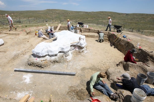 t rex dig sites