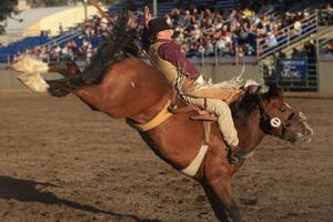 Wednesday night PRCA action