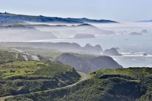 Bodega Bay in Sonoma County, California was a setting for Alfred Hitchcock’s "The Birds"