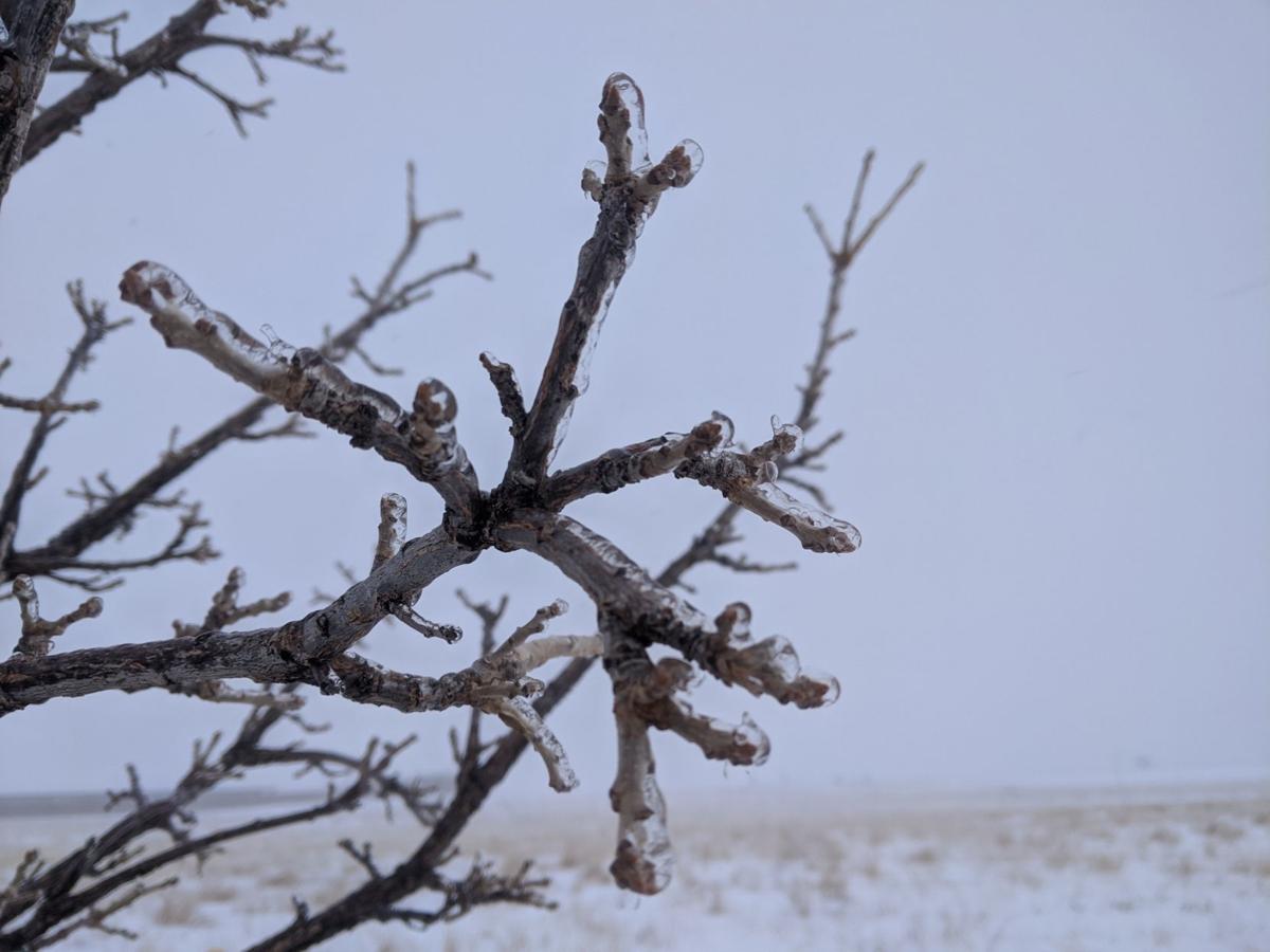 Blizzard