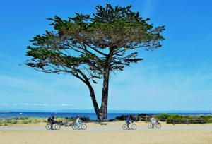 Family travel 5: Bike trips