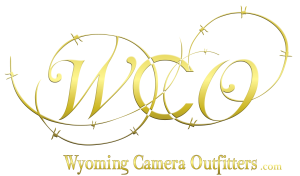 WCO_OfficialLogodotcom-300x176.png