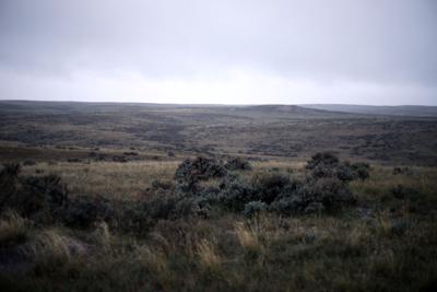 Wyoming Landscape