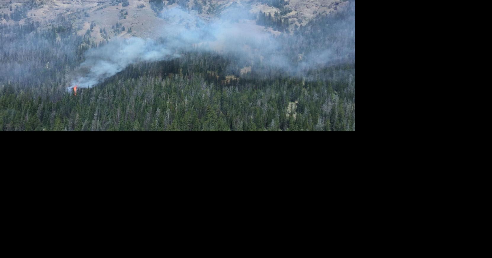 Fire spotted in remote area of Yellowstone National Park