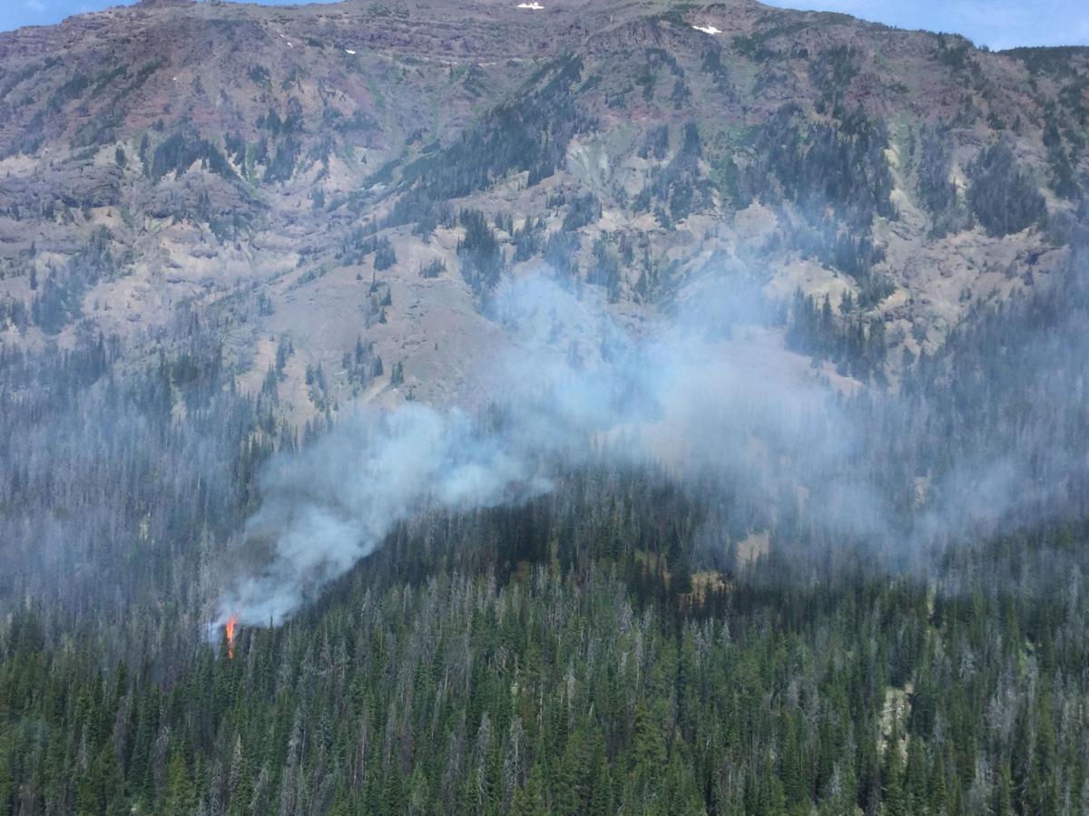 Fire spotted in remote area of Yellowstone National Park Wyoming News