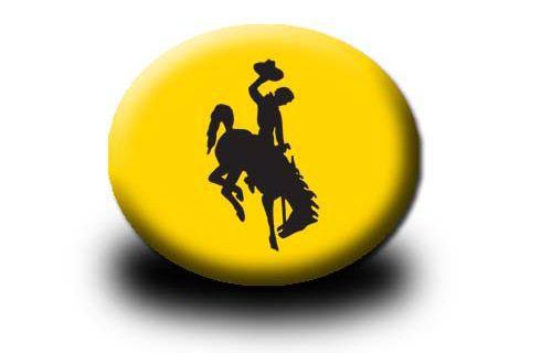 Wyoming Button