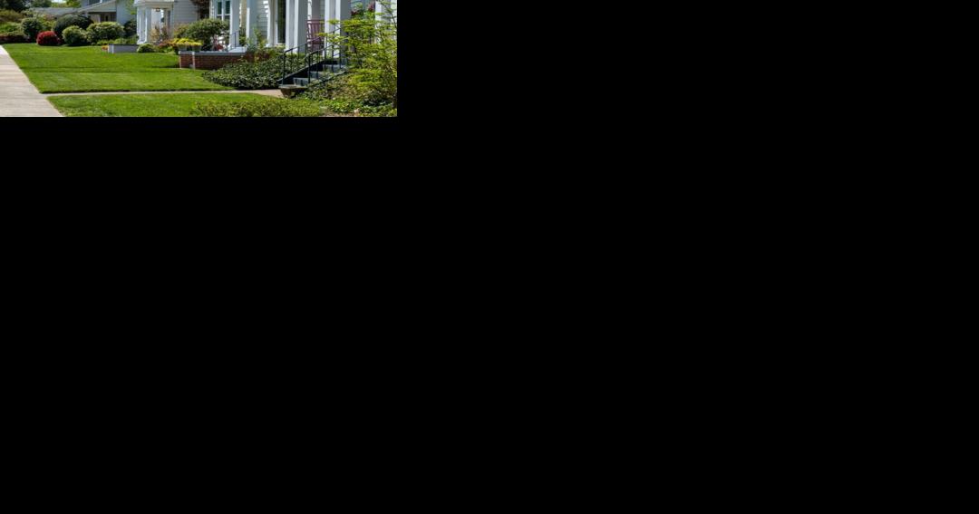Tax relief ballot initiative gains ground - Vimarsana News