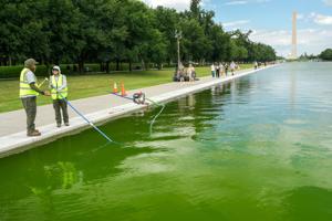USA-250/REFLECTING POOL