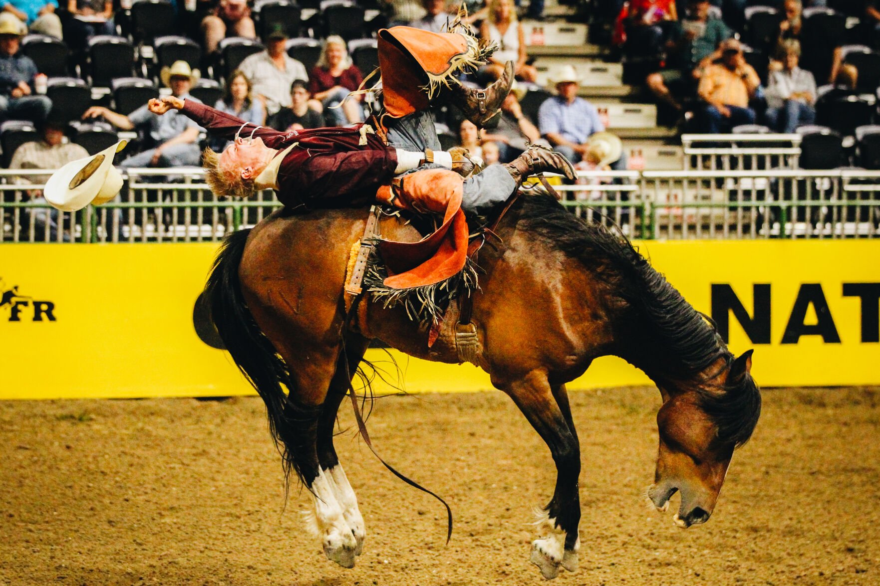 Powell's Brody Wells Is In Contention For CNFR Saddle Bronc Championship