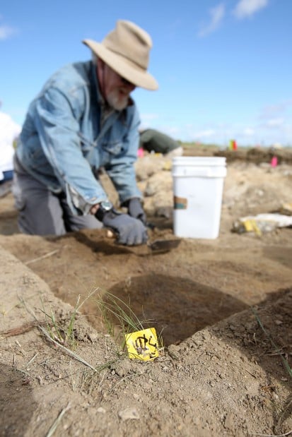 t rex dig sites