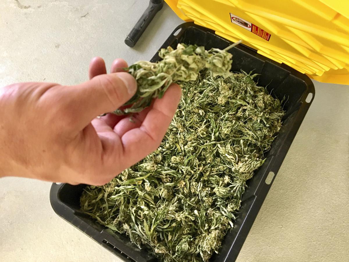 Medical Marijuana