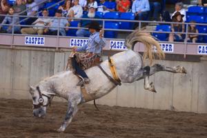 PRCA/WPRA pro rodeo standings through Sept. 24