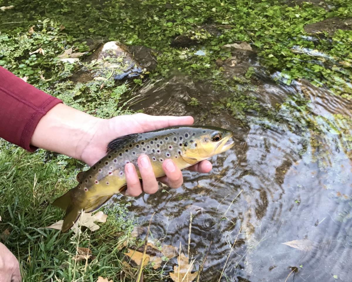 100Mile Getaway Fish, hike, camp or picnic through Sand Creek Wyoming News