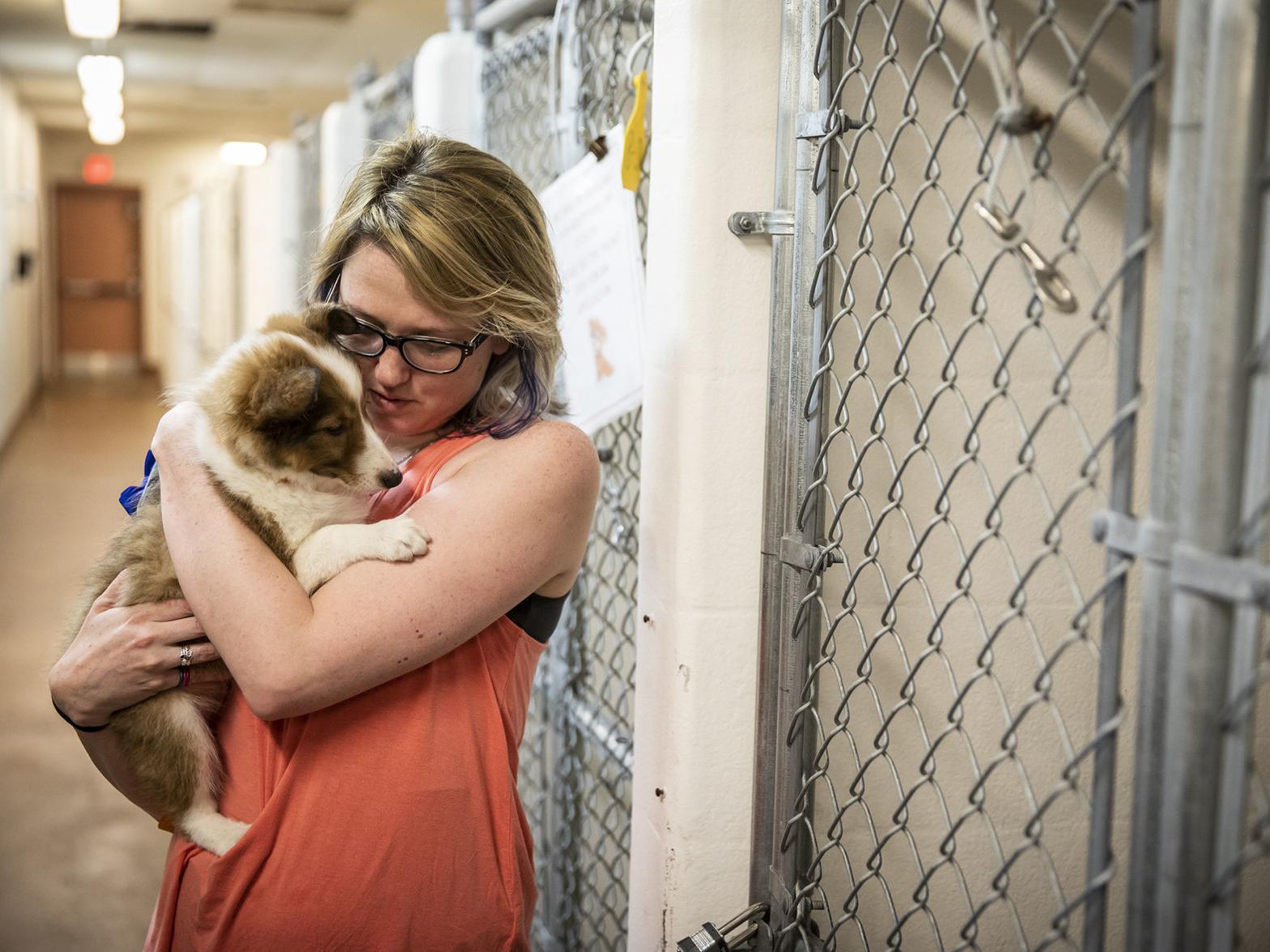 Casper Animal Lovers Show Up To Adopt Confiscated Pets From Metro