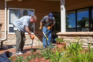 Volunteer Day