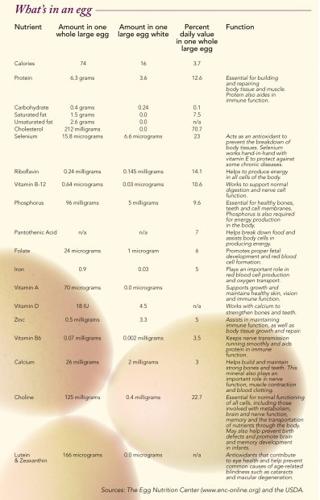 What's in an egg?
