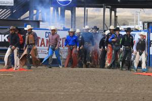 Cody Stampede Xtreme Bulls