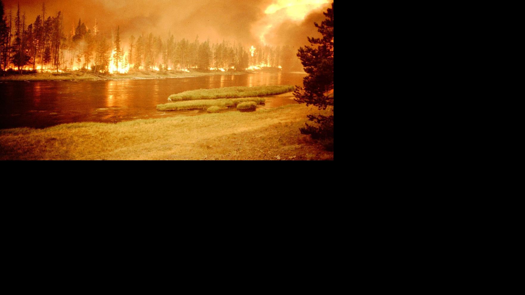 Former fire behavior analyst shares photos from the Yellowstone fires