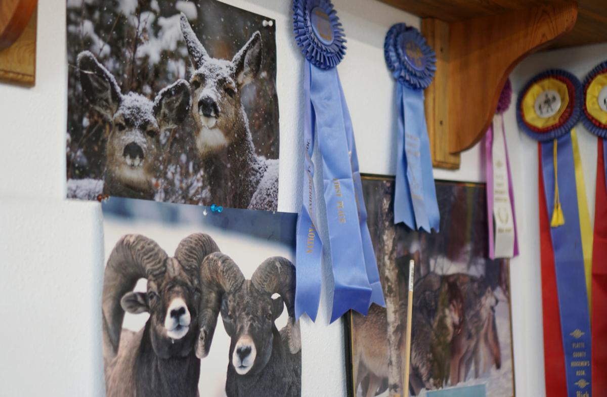 Lander Taxidermist