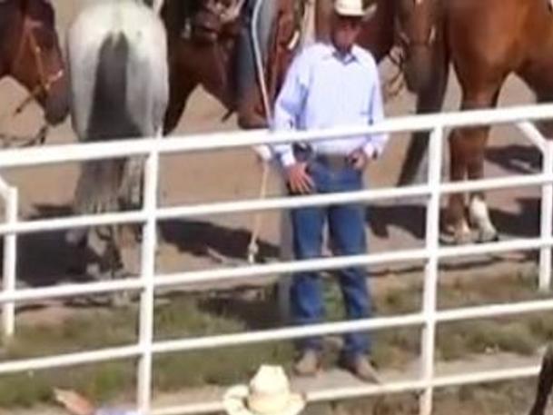 Dead Steers Injured Calf At Cheyenne Frontier Days Draw Animal Activists Ire Local News Trib Com