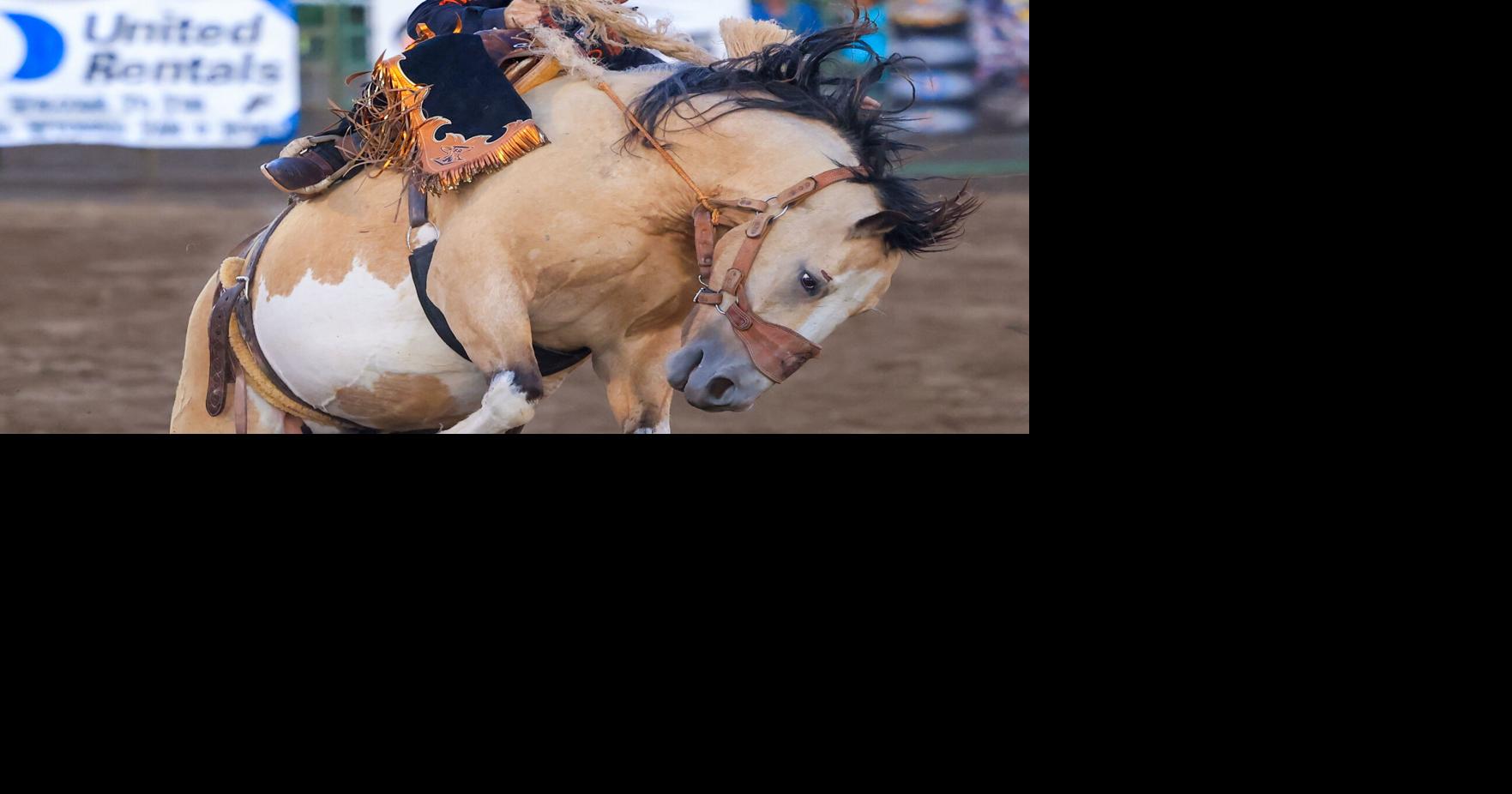 Hillsdale saddle bronc rider Brody Cress is building toward a summer push