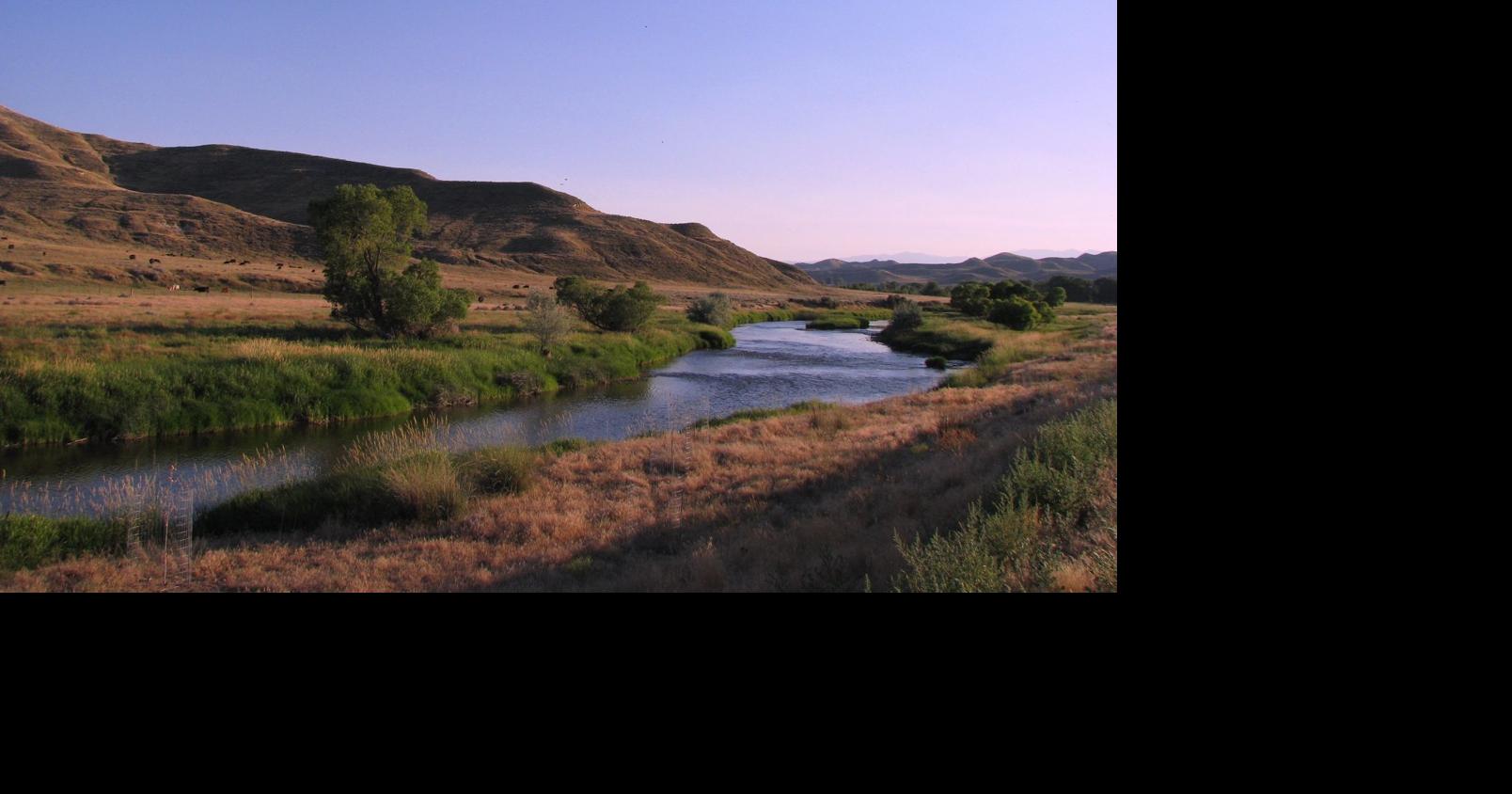 Ucross Foundation ranch designated as important bird area