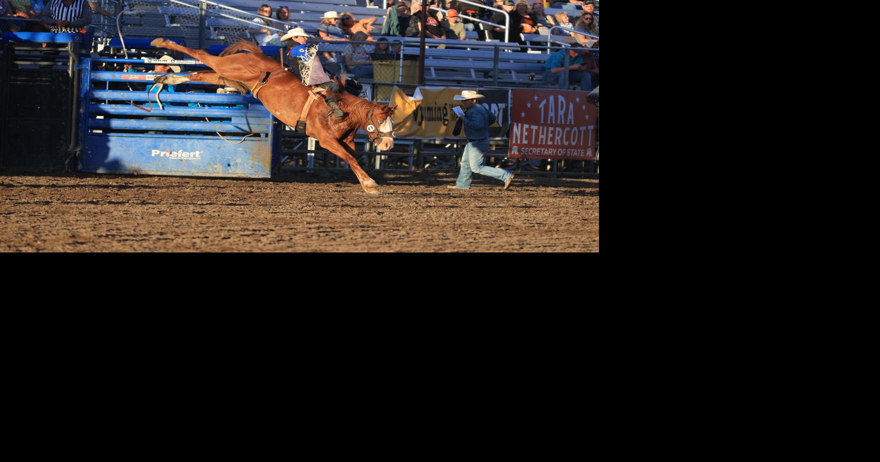 Professional Rodeo Cowboys Association world standings through July 17