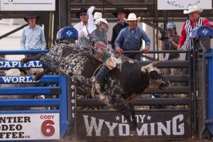 Cody Stampede Xtreme Bulls
