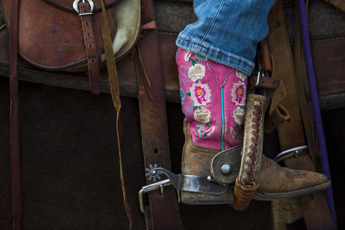Pavillion Kid Rodeo