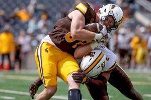 UW spring football game