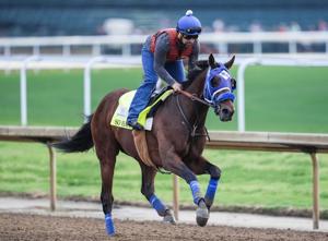 2026 Kentucky Derby contender So Happy works during a morning training session during Kentucky Derby week at Churchill Downs.