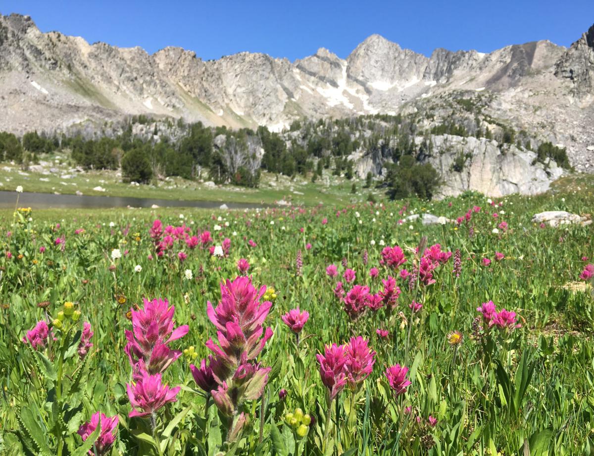 Beehive Basin