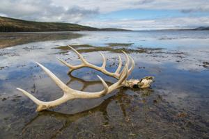 Yellowstone Lake.jpg