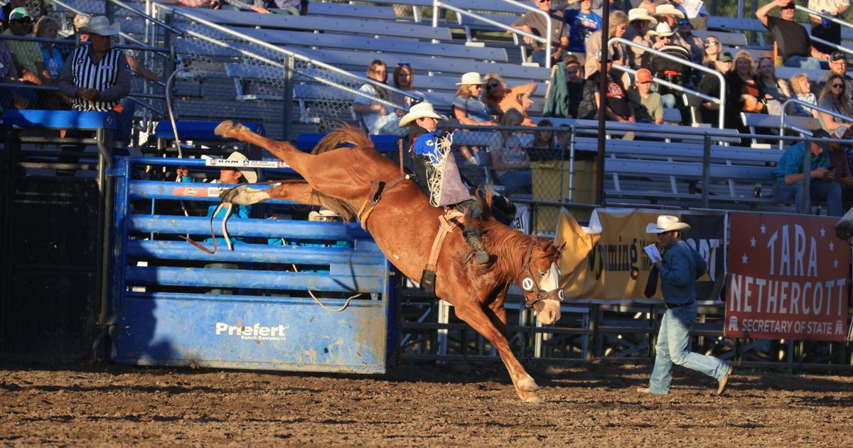 Buffalo's Cole Reiner leads bareback standings heading into National Finals  Rodeo